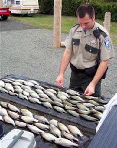 Fishery officer counting fish taken illegally