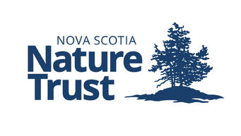 Decrement ansvar Tilbagebetale NS Nature Trust - ST. MARY'S RIVER ASSOCIATION